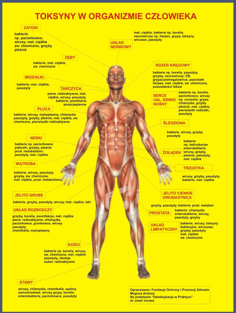 Toksyny W OrganiŹmie CzŁowieka 4740